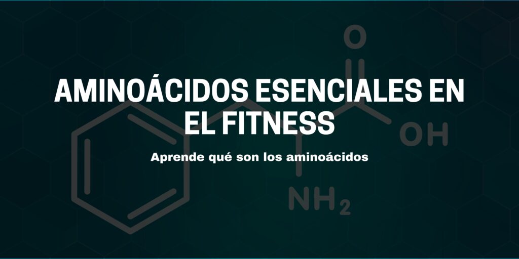 Aprende qué son los aminoácidos