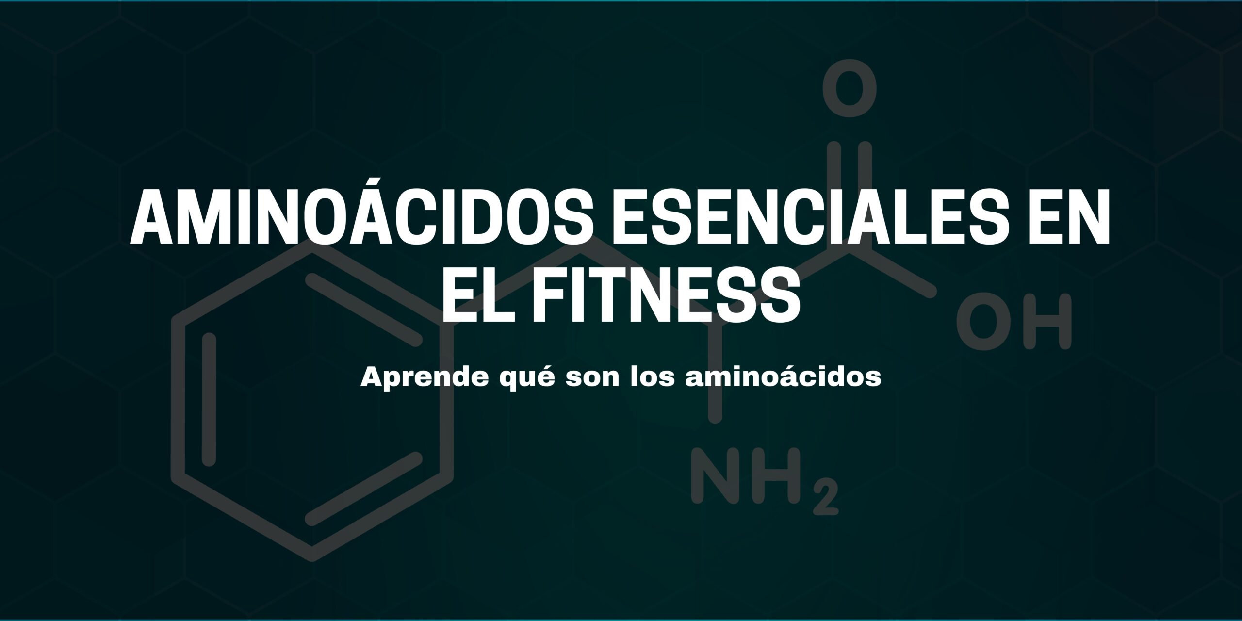 Aprende qué son los aminoácidos